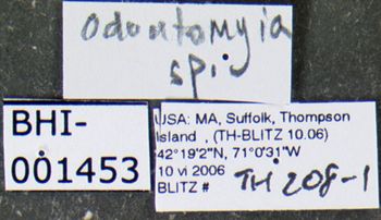 Media type: image;   Entomology 617608 Aspect: labels